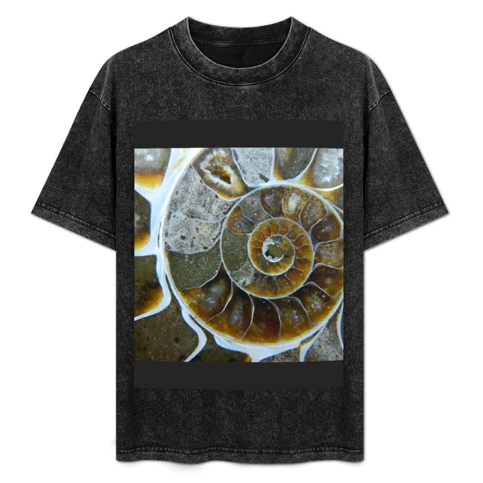 

Ammonite T-Shirt Quick Dry Sports Short Sleeve Tee