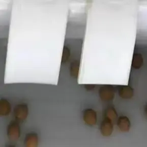 

Single Row Commercial Automatic Egg Cleaning Machine Small Egg Cleaning Machine Chicken Duck Goose Egg Cleaning Machine