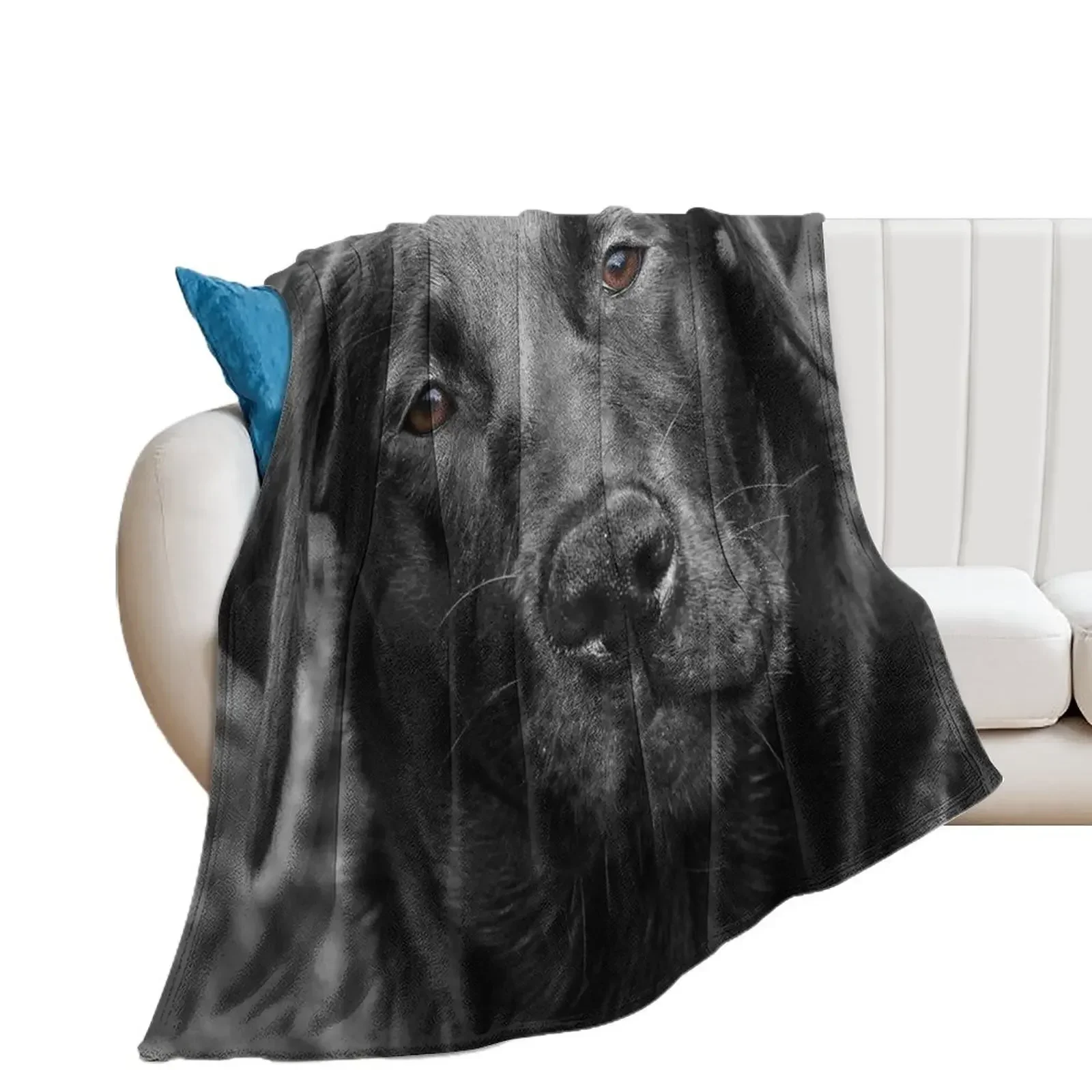 

Black Labrador dog Throw Blanket Nap Bed Plaid Beach Blankets