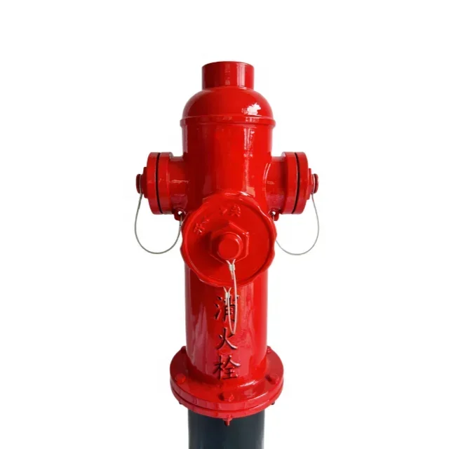 SSFW100-65-1.6 Surface Hydrant for Firefighting Equipment & Accessories