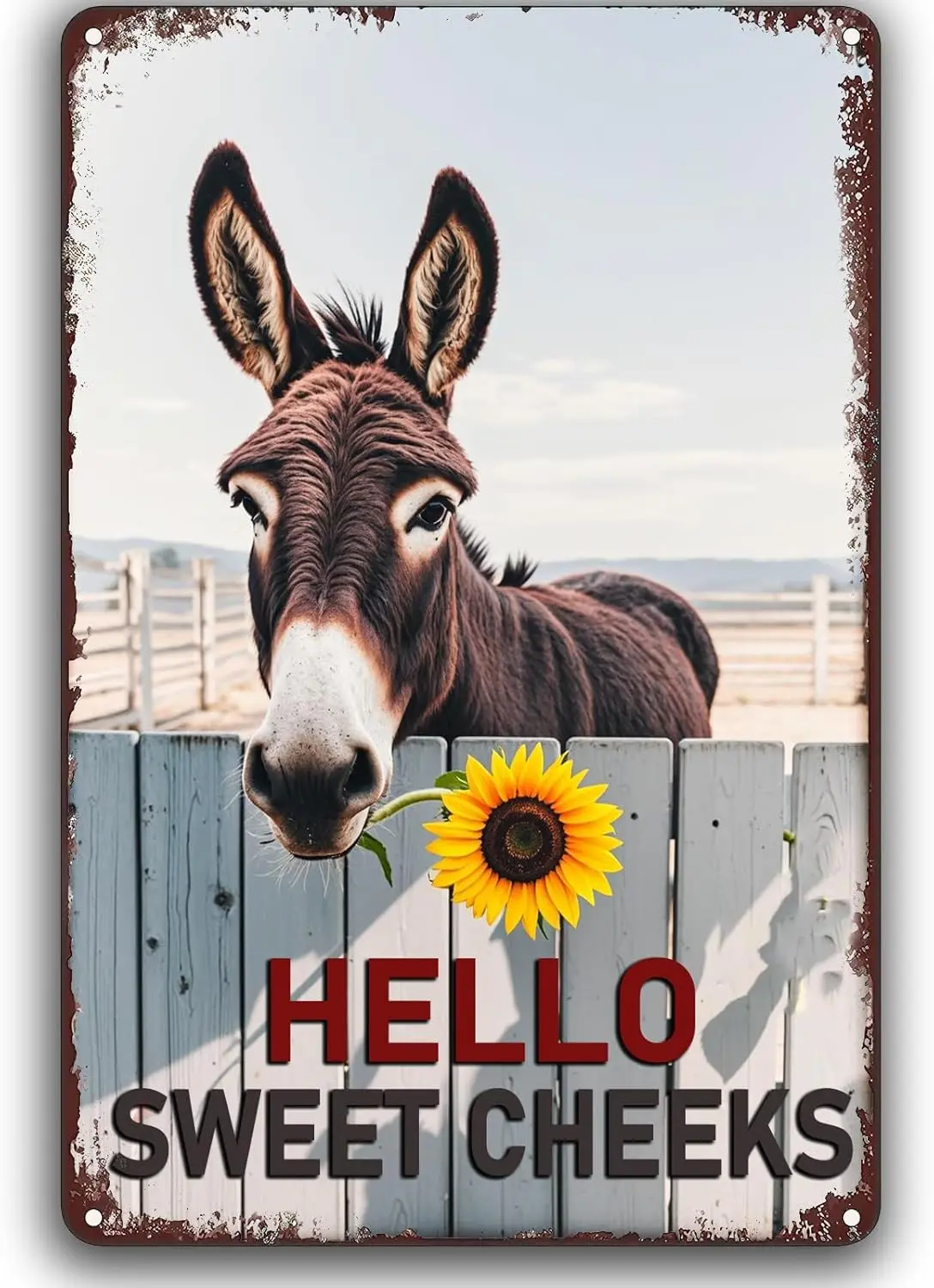 Hello Sweet Cheeks Creative Tin Sign Metal Retro Wall Decor,Funny Donkey Sunflower Bathroom Metal Tin Signs for Donkey Love sign