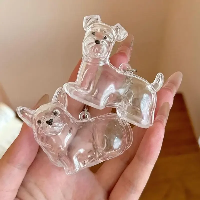 Cute Dog Hair Storage Keychain Transparent Pet Fur Keepsake Capsule Bag Pendant Decor Souvenir Collection Gift Memorial Jewelry