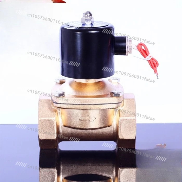 Normally Closed Solenoid Valve Water Air Valve AC220VDC24V DC12V 2 Minutes  1 Inch