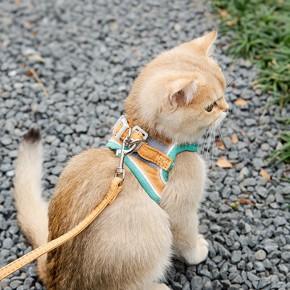 Thumbnail 4 - #66 Latest Reflective Dog Leash Offers