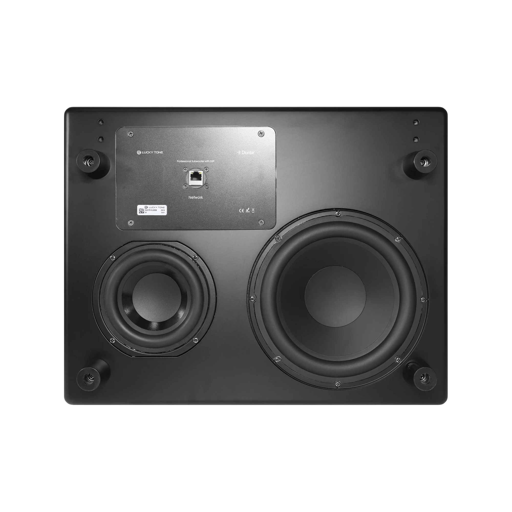 V DSP Subwoofer with Passive Radiator  Audio and Flexible Mounting Options Subwoofer