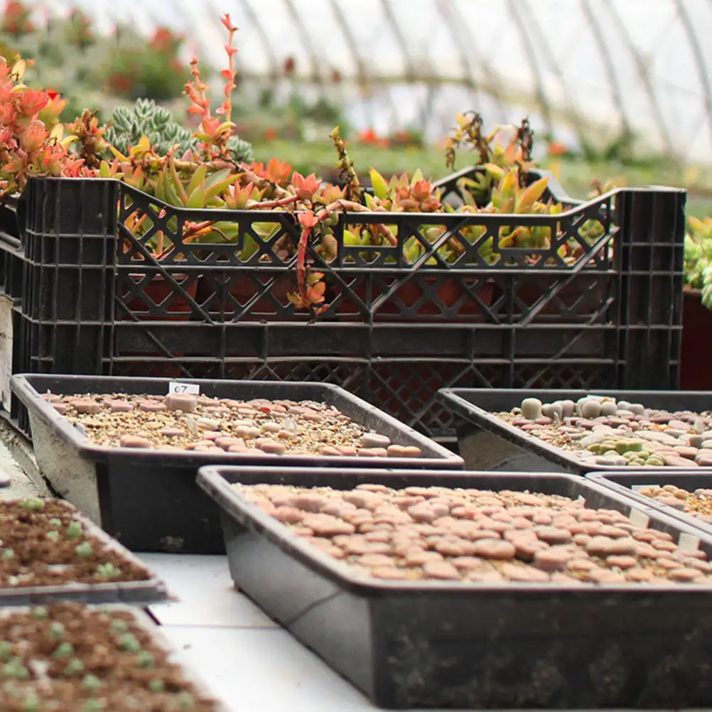 Plastic Nursery Pots Garden Growing Propagation Trays Breathable Plant Germination Case Nursery Pot Kit for Seedling
