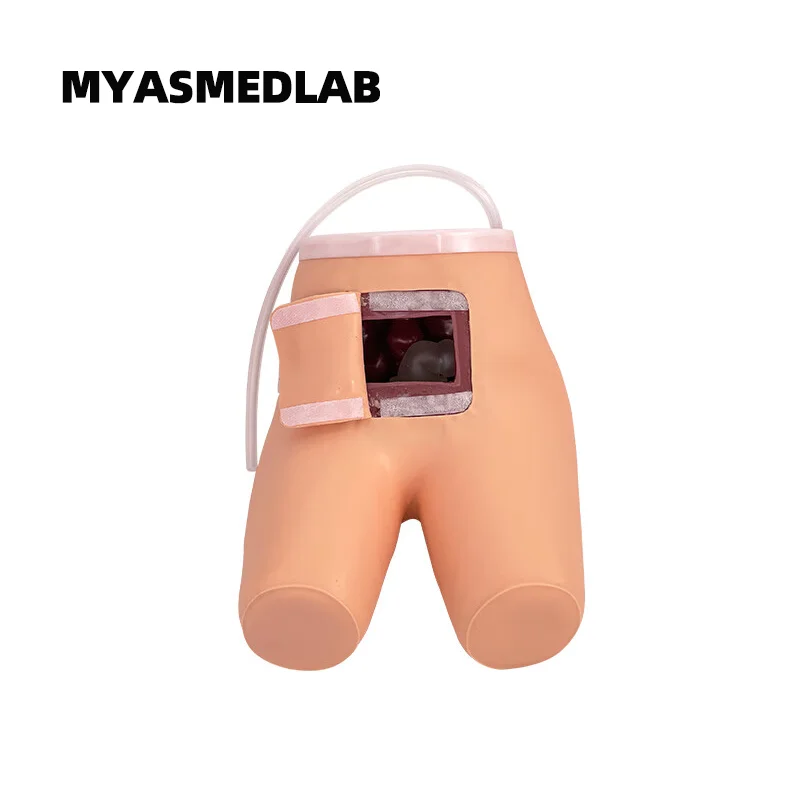 

Enema and Assisted Defecation Training Model Medical Enema and Defecation Teaching Model for Human Body