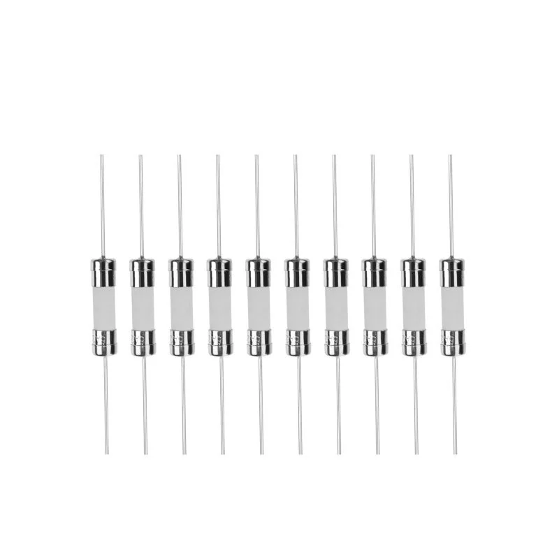 10 PCS 5*20mm Axial Lead Ceramic Fuse Fast Blow 2A 20A