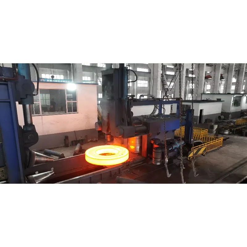 شفاه SO مزورة دقيقة لمعالجة المياه والتزوير البحري، وجه RF/FF، وأسعار تنافسية #4