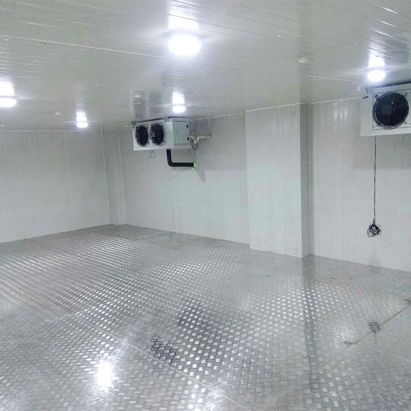 Caminata in camera frigorifera personalizzata nella stanza di stoccaggio frigorifera a camera fredda per carne e pesce