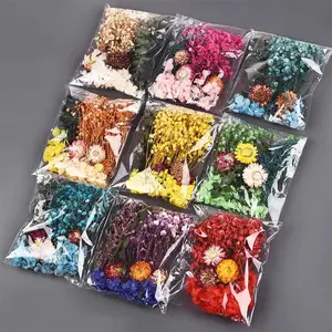 Natural Plants Dry Star Sky Flowers Preserved Materials Resin Kit Epoxi Velas Soap DIY Floral Materials Set Dry Flowers 10 Main Sales Natural Dry Flowers - №8