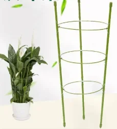 2026 Plant Climbing Trellis Fixing Bracket  Iron Wire Rose Climbing Frame  Circular and Plastic Coated