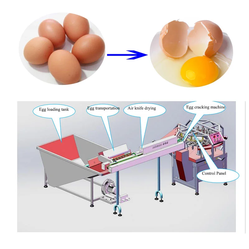 High Quality Egg Beater Separator Egg Shell and Egg Yolk Cracking Separating Machine