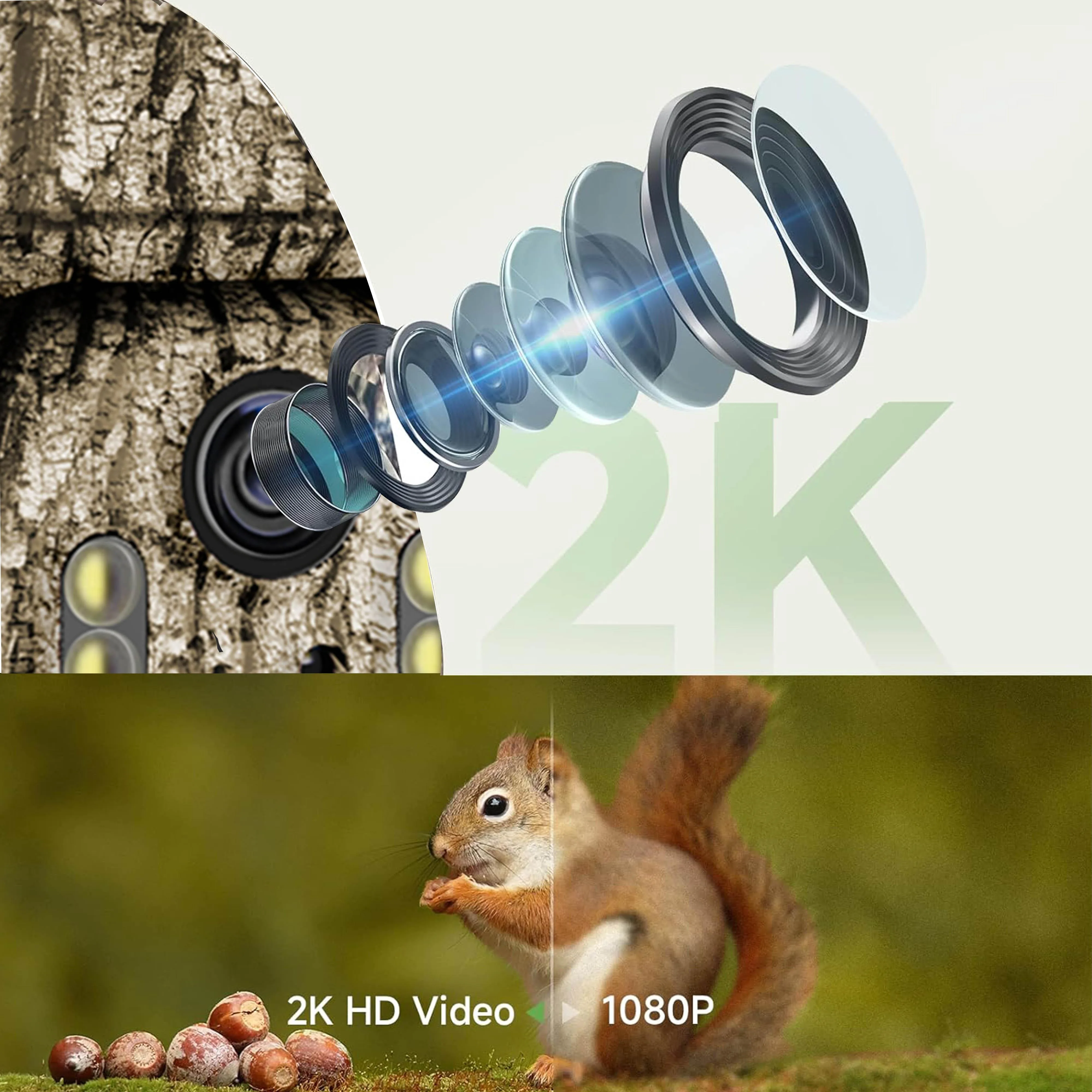 كاميرا 4G LTE Solar Trail مع 360 °   العرض المباشر: 2K HD، خطة بيانات غير محدودة، للأمن على مدار الساعة ومراقبة الحياة البرية