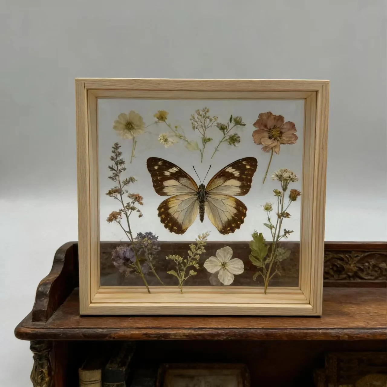 DIY Square Hollow Double-Sided Acrylic Display Box Frame, 3D Hollow Plant and Insect Specimen Display Box, Suitable for DIY Art and Display of Plant, Flower, and Insect Specimens