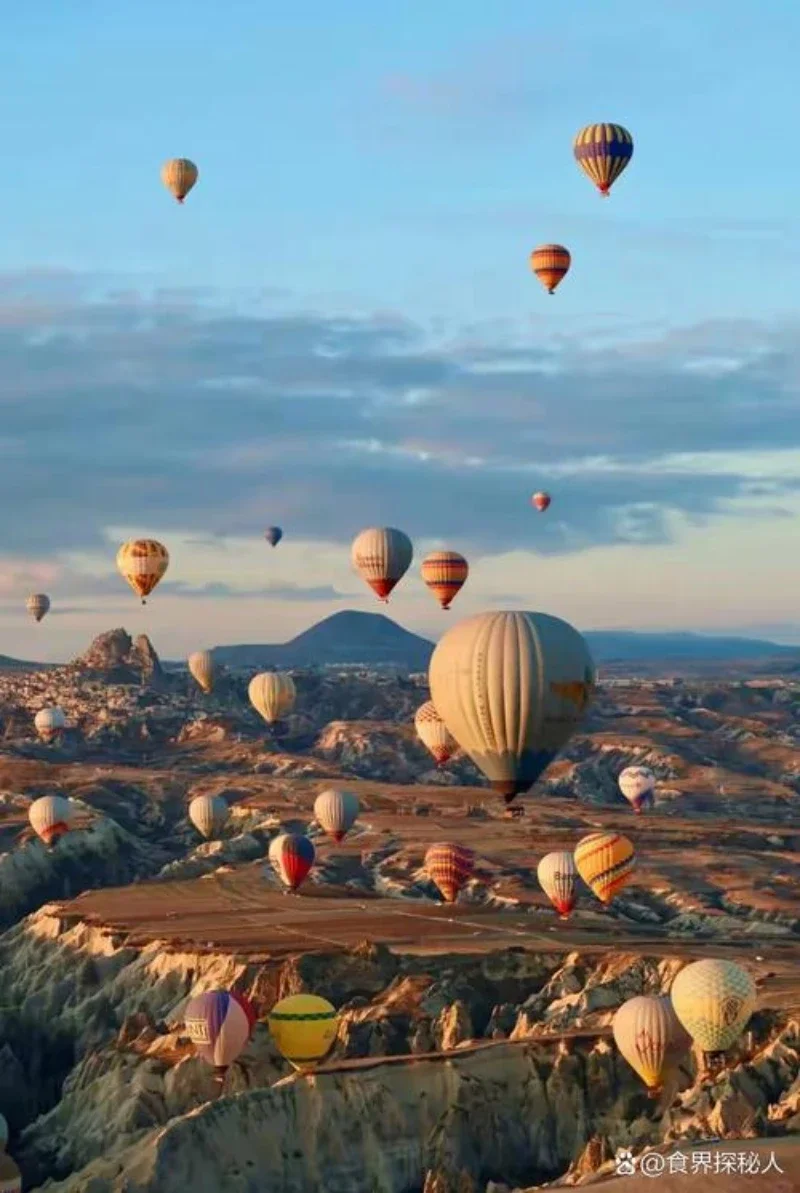 

For Suzuki SX4 S-Cross MK3 2021 2022 2022 2024 Car Boot Trunk Net Luggage Mesh Nylon Bag Storage Rear Back Cargo Car Accessories