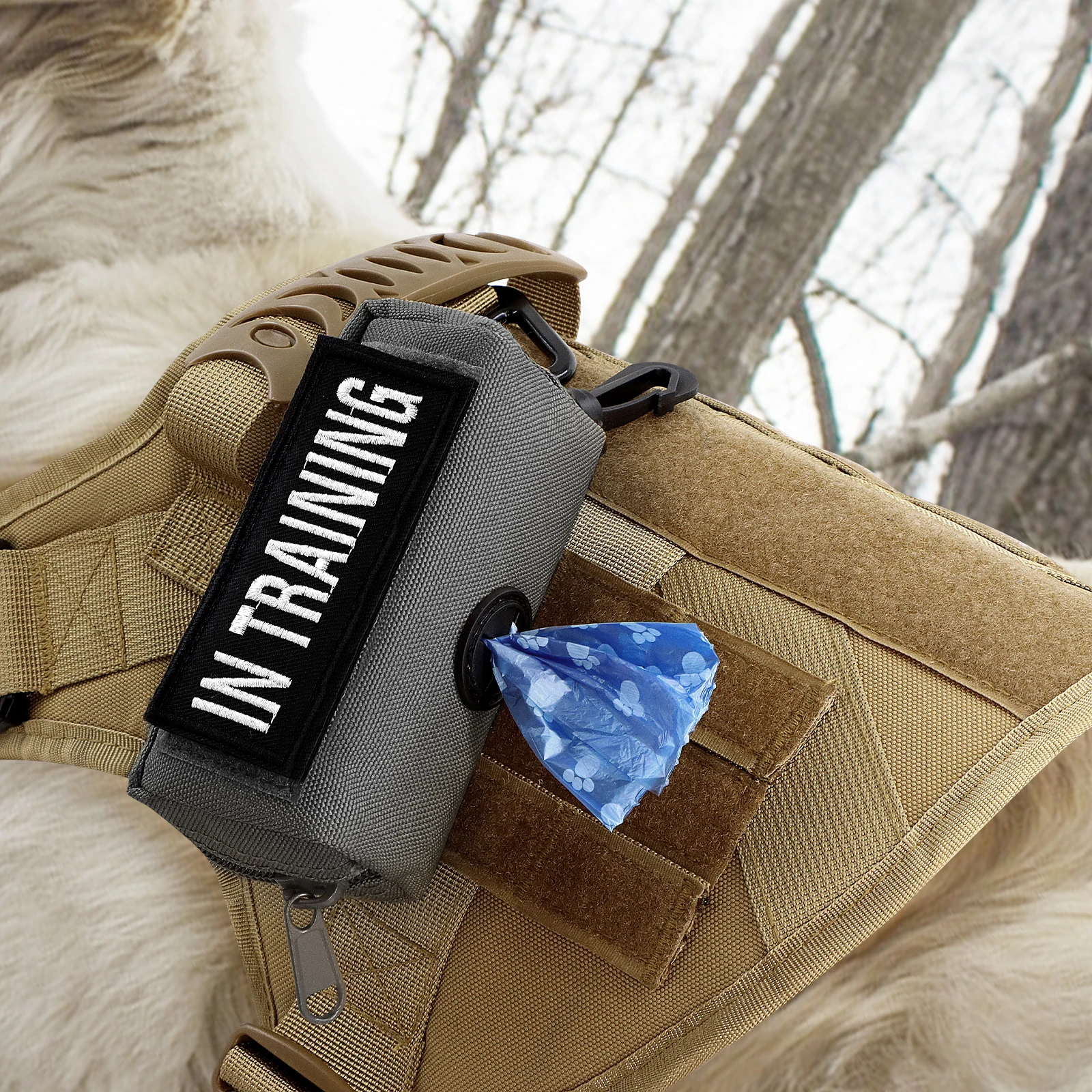 #36 Pet Waste Bag Dispensers List of Top Picks