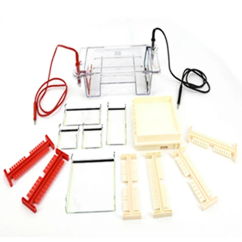 

Medical laboratory equipment Portable Full Automatic electrophoresis apparatus analyzer system machine