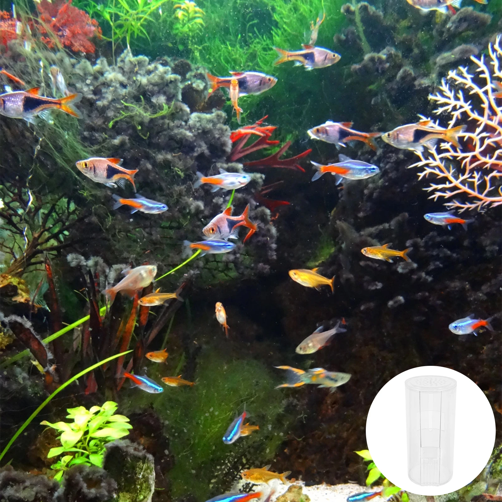 

Fish Acrylic Aquarium Fog Maker Landscape Mist Maker Equipment Fogger Machine Pond Accessory Atomization Supplies