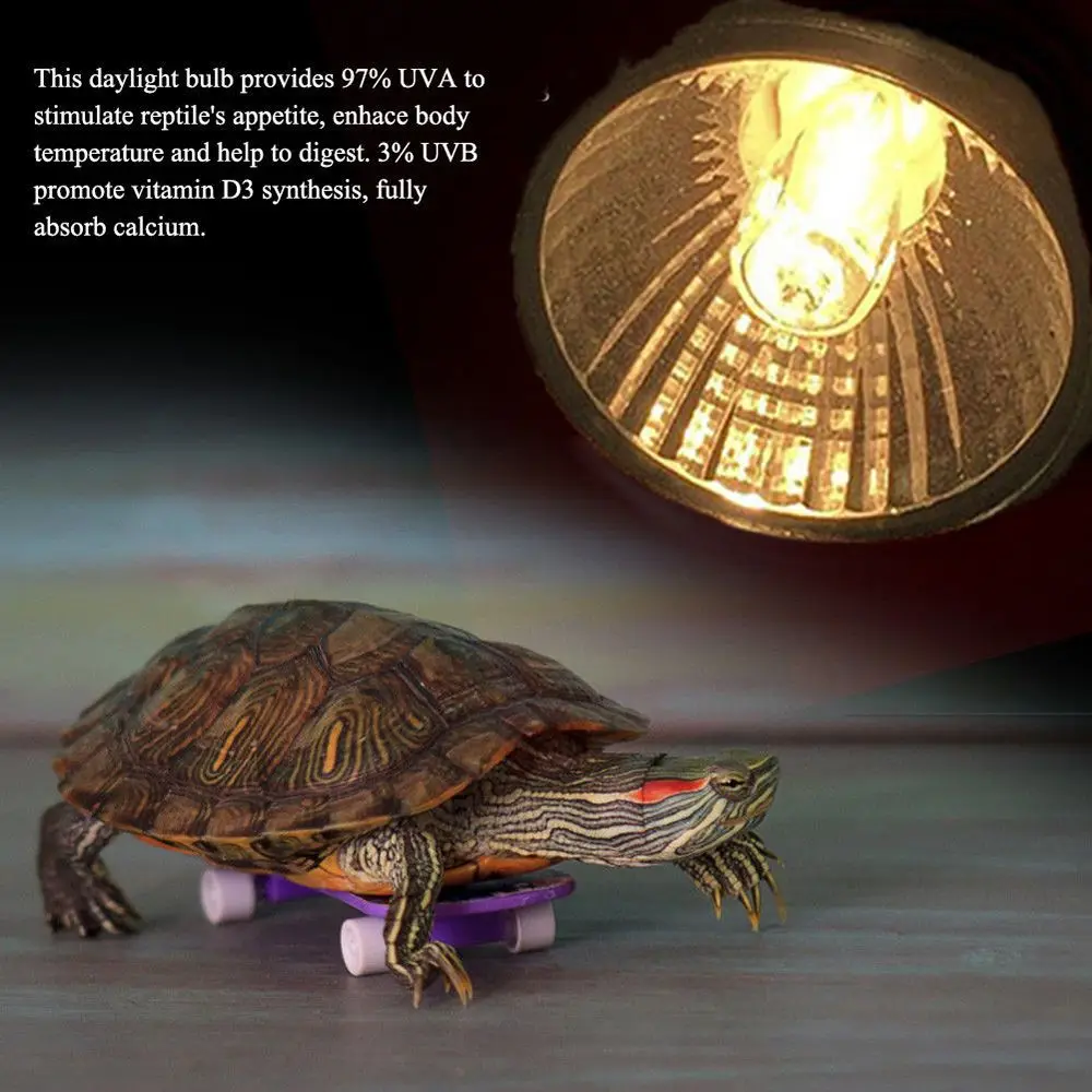 Lizard Temperature Controller Full Spectrum Basking Light UVA Light Halogen Bulb Reptile