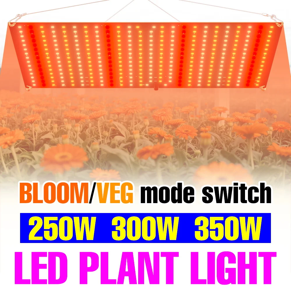 

Светодиодные фитолампы 350 Вт, полный спектр, Quantum Board, для выращивания растений, УФ/ИК, для теплиц, фруктов и овощей, с вилкой US/EU