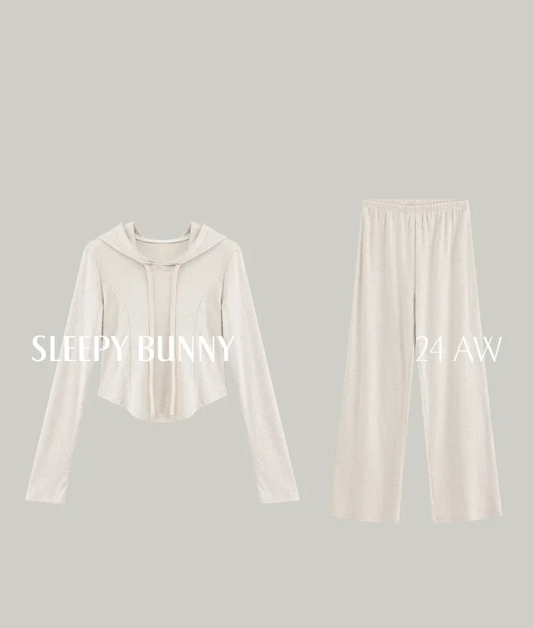 Cozy Casual Lounge Set Women Autumn Long Sleeve Hoodie Wide Leg Pants Soft Comfy Two-Piece Outfit Minimalist Homewear Tracksuit