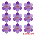 PE10165CT