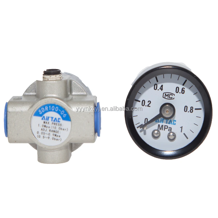 2026 Hot Sale Air Compressor Filter for  SR Series SR200-06 SR200L-08 for Painting and Spray Painting view 3