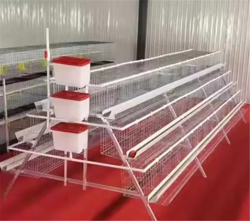 Manufacturer wholesale   poultry farm cage