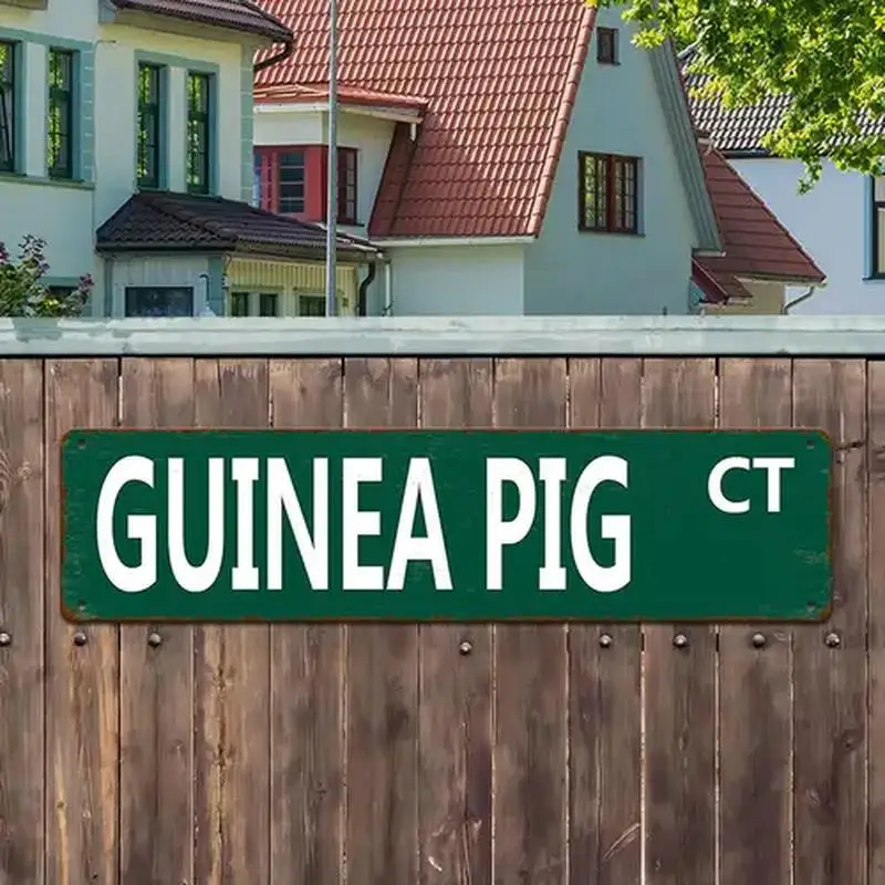 

[2D FLAT] Металлический знак, 1 шт., 4 × 16 дюймов, уличный знак морской свинки Ct, металлический художественный декор
