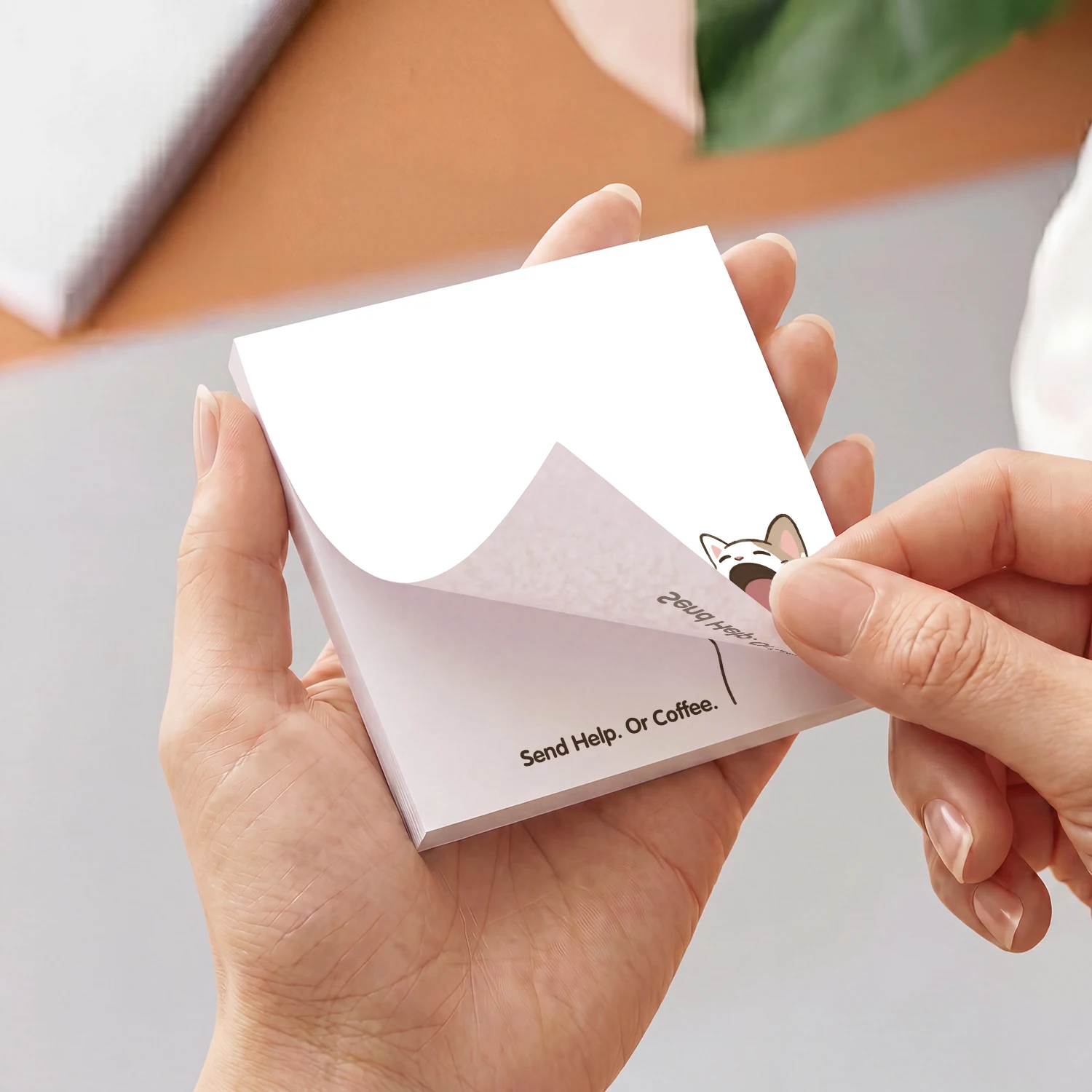 2 pcs Cute Cat Sticky Notes, 1 - Hair Care Journal review and price