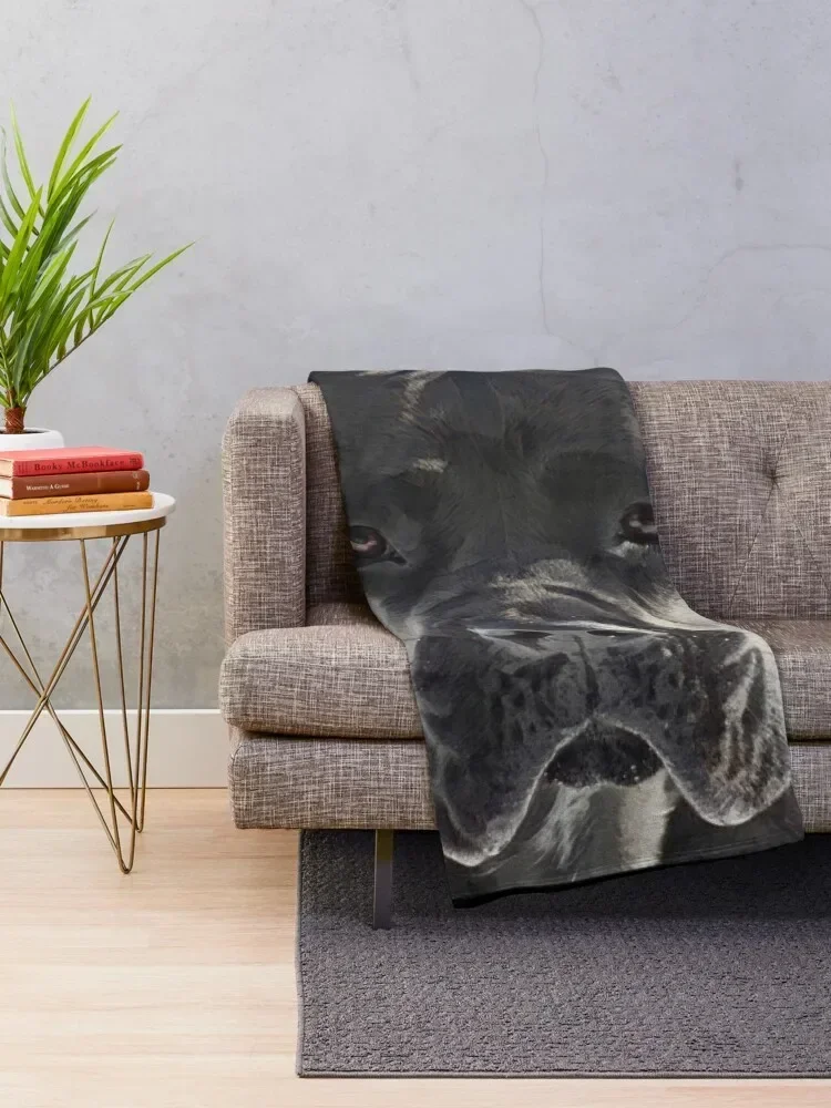 Cane Corso With Floppy Ears Throw Blanket funny gift For Sofa Thin Stuffeds Blankets