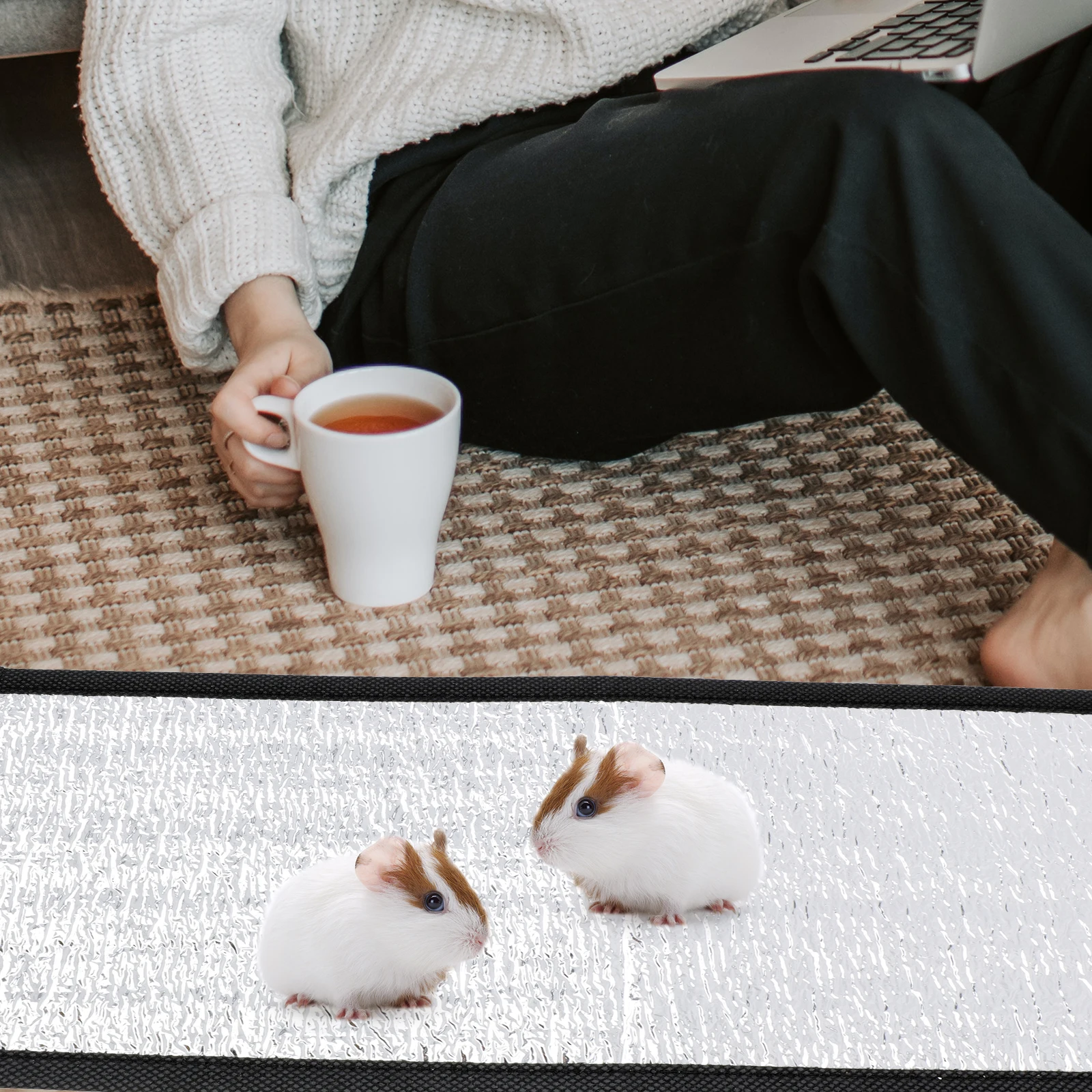 

2pcs Heating Pad For Reptile Pet Winter Warm Mat Insulation Reflective Film Heated Nest Bottom Terrarium Accessory Temperature