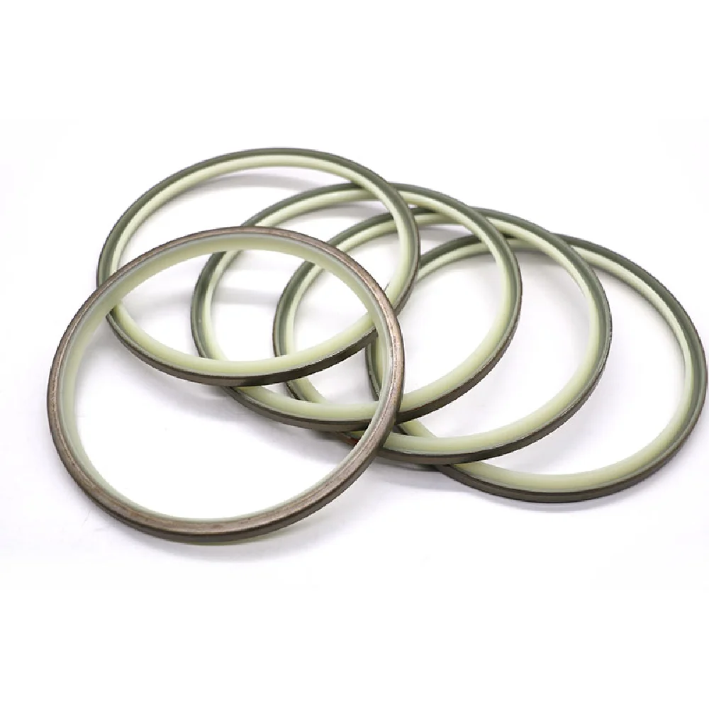 Online Wholesale China Supplier Dli Dkbi Metal Hydraulic Cylinder Wiper Seal