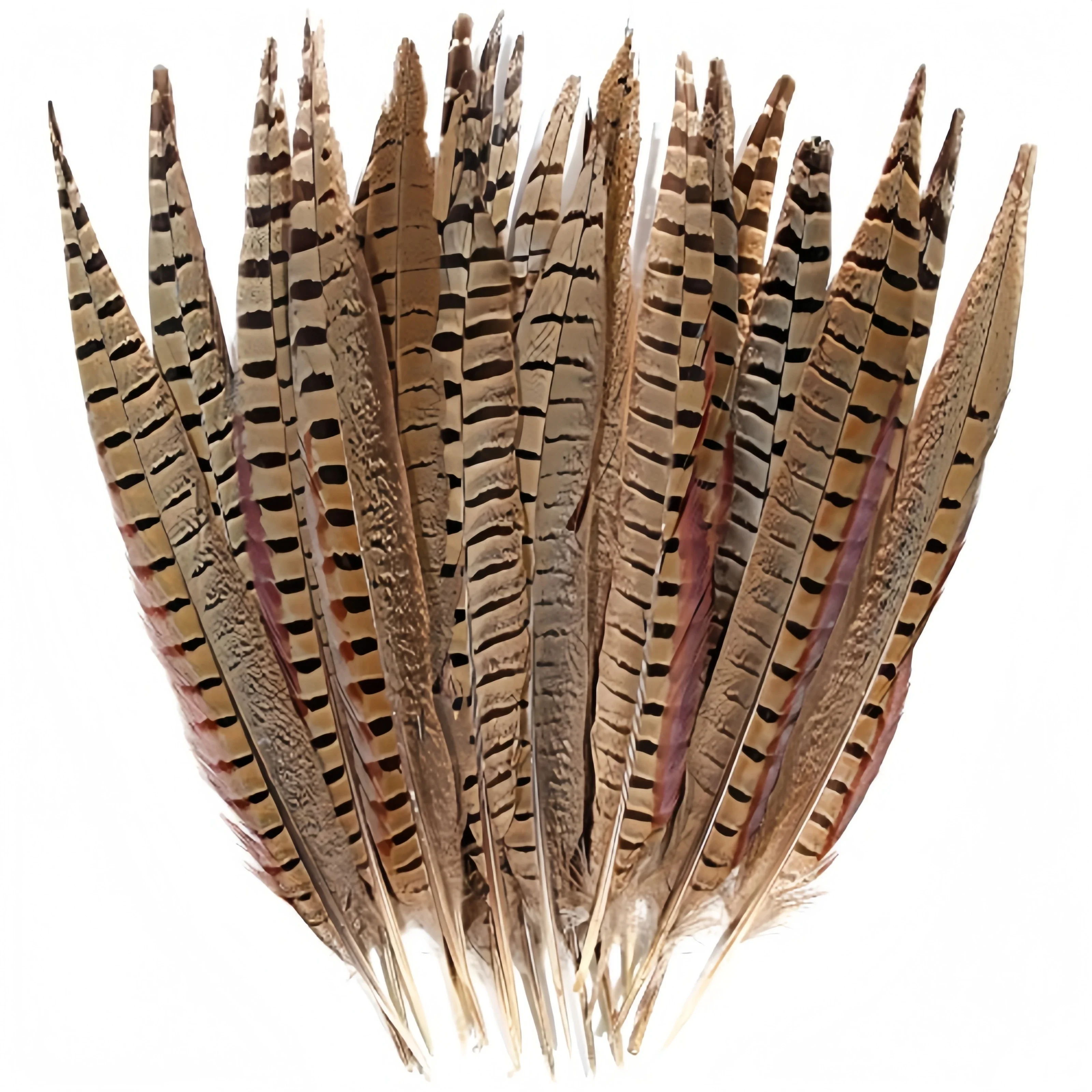 

Natural Male Pheasant Tail Feathers 10-60cm Ringneck Pheasant Feathers for DIY Crafts Wedding Party Stage Decoration Handmade