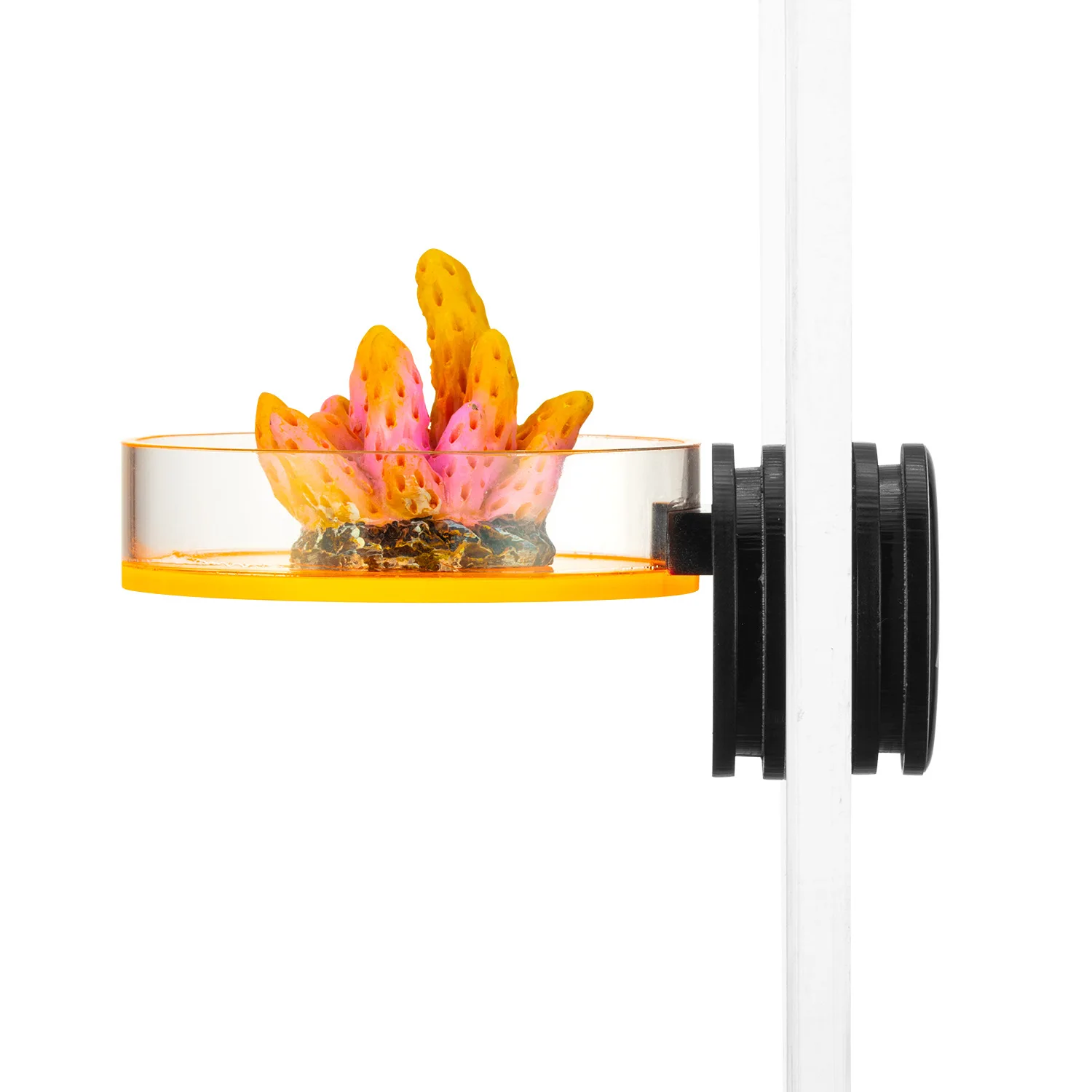 رف أظافر مرجاني مغناطيسي بمصادر بحرية 70 مم، حامل مرجان برتقالي فلوري - رف عائم قوي لمرجان SPS #1