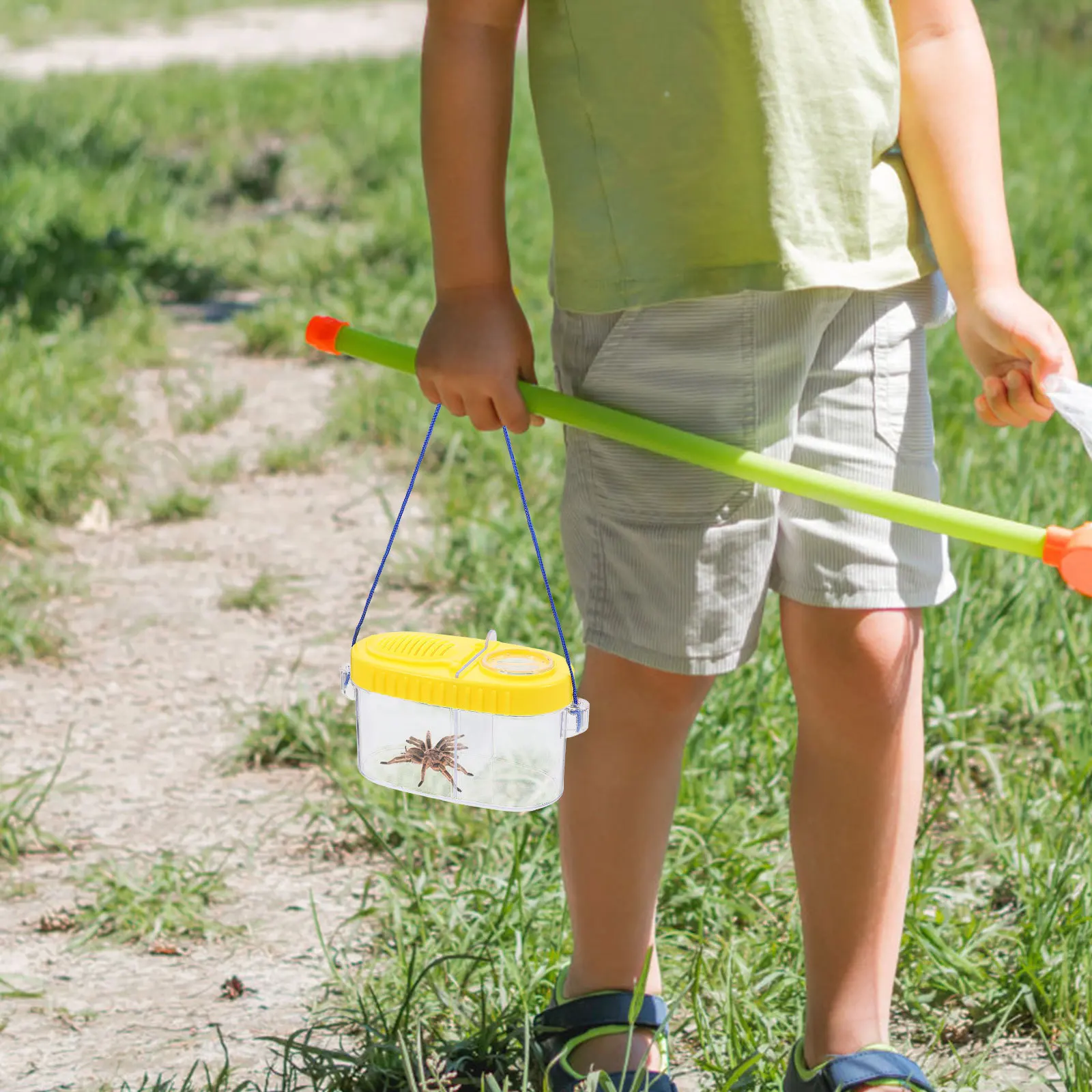 Observeur d'insectes jaune, loupe biologique, outil d'exploration pour enfants, apprentissage scientifique éducatif, 1 pièces