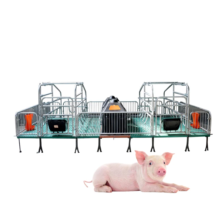 Pig production breeding bed Sow Bed Equipment European Twin Birth Bed piglet Incubator/piggery farrowing crates