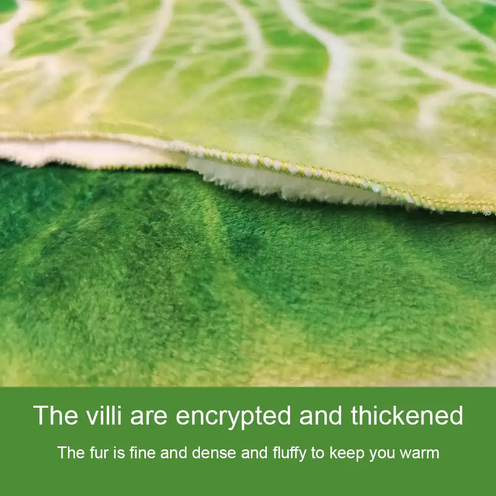 الغذاء الخس بطانية الوجهين الفانيلا المظهر الإبداعي المنزل أريكة الملفوف بطانية سوبر لينة مضحك رمي بطانية
