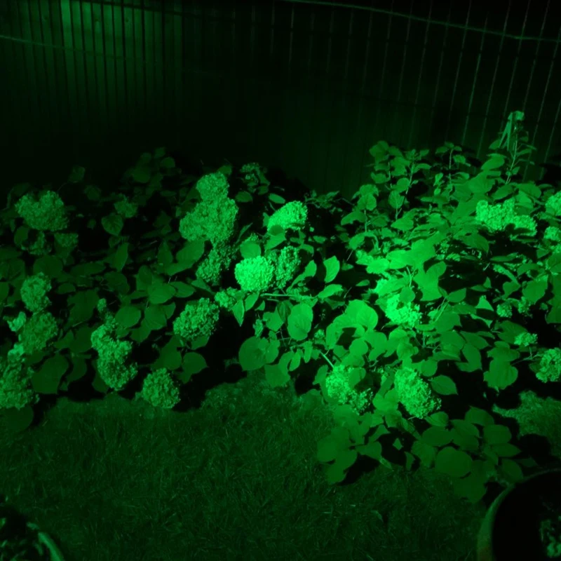 Imagem -06 - Luzes Led do Jardim com Spike Holofote ao ar Livre Ip65 Impermeável Lâmpada Decorativa de Paisagem Verde 3w 220v Pcs