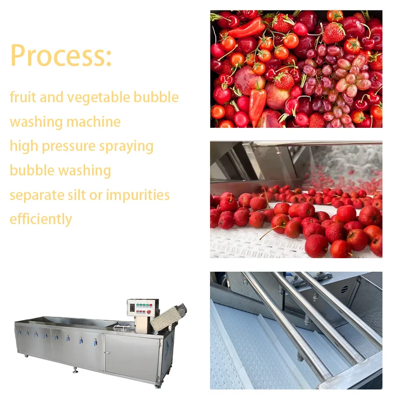 Industrial Vegetable Washer Vegetable And Fruits Cleaning Machines