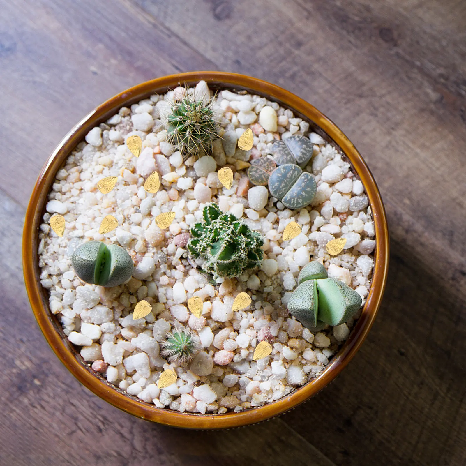 100Pcs Melon Seeds Alloy Decor Miniature Feng Shui Home Office Table Decoration Sculpture Good Luck Ornament