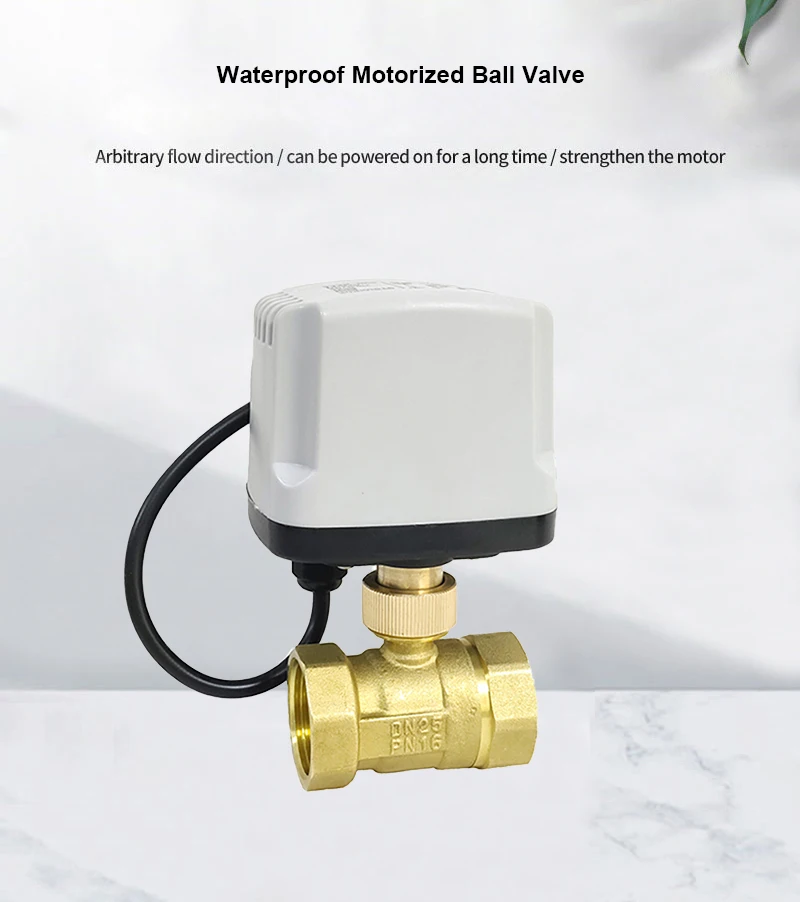 Detalhe 2 de Válvula solenoide Waterproof Motorized Ball Valve Brass IP65 Three-Wire Two-Control Three-Wire One-Control 220V 24V 12V Can Replace Soleno Pneumática