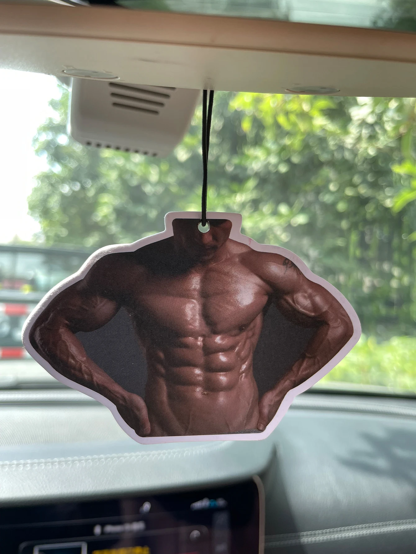 Muscular Six Pack Abs Hot Man Novelty Hanging Car Air Freshener, Buff Fitness Guy Scented Paper Bookmark, Natural Plant Extract