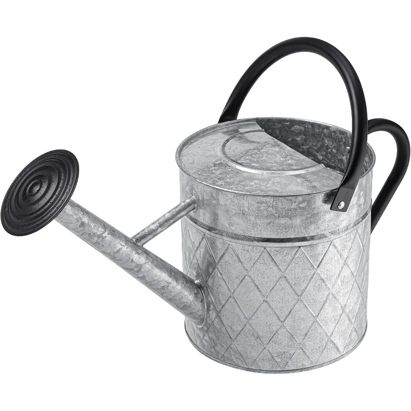 1.75 Gallon Outdoor Galvanized Metal Watering Can for Garden Plants, Vintage Zinc Watering Can with Removable Spray Spout