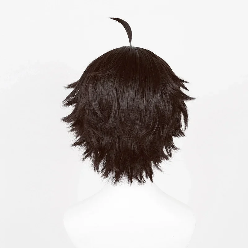 Perruques Cosplay de l'Anime Dan Heng pour Homme, Bonnet de Perruque, Cheveux de Degré de Chaleur, Noir et Marron, 30cm