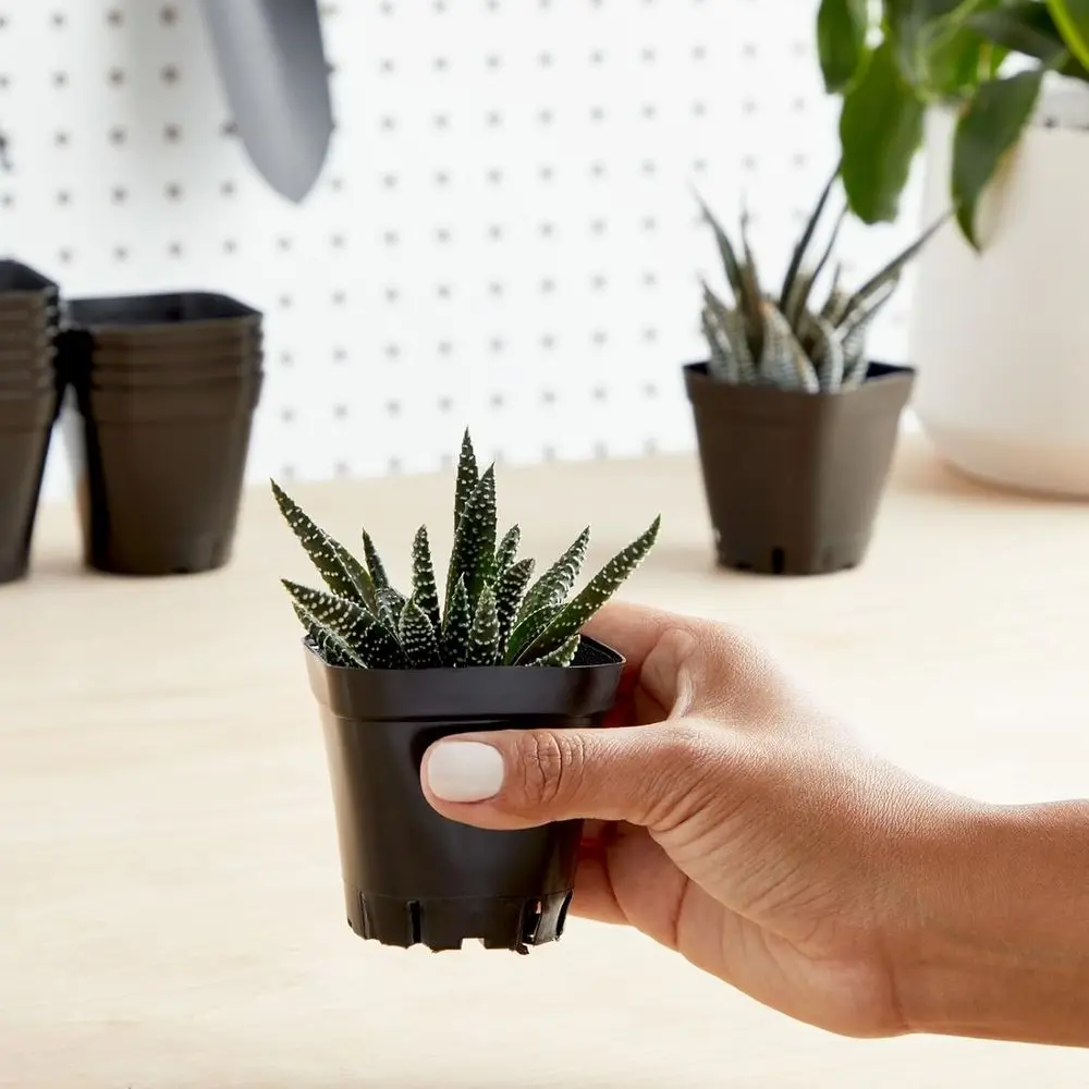 Stackable Square Seedling Planters with Drainage, 150-Count, 2.6 Black