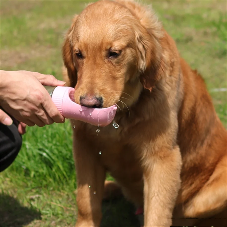 1Pc Pet Anti Knock …