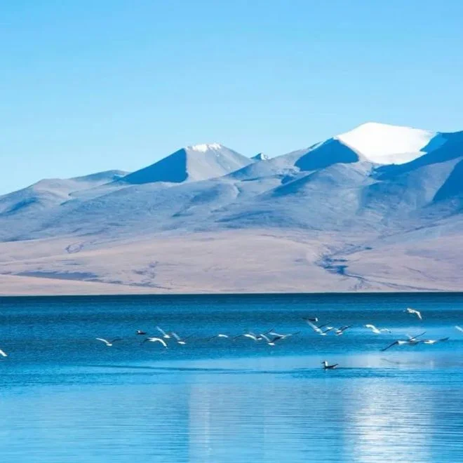 

Для Audi Q7 Android 13, автомобильная GPS-навигация, без DVD-плеера, стерео, Satnav, головное устройство, мультимедийное радио, магнитофон, IPS