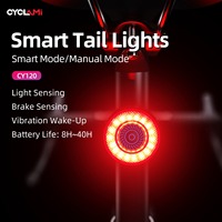 CYCLAMI Bike Tail Light Smart Brake Sensing Rear Bicycle Light Carbon Fiber Waterproof Type-C MTB Road Warning Cycling Taillight